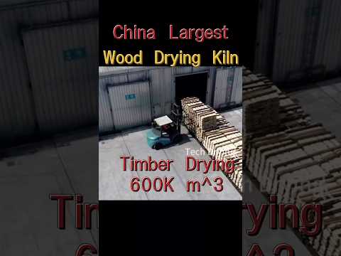 Largest Wood Dryers in China #woodworking #kiln #wooddrying #lumber #chinafactory #kilndryer